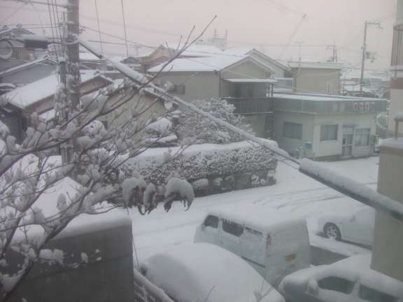 雪、ああ世界は美しい