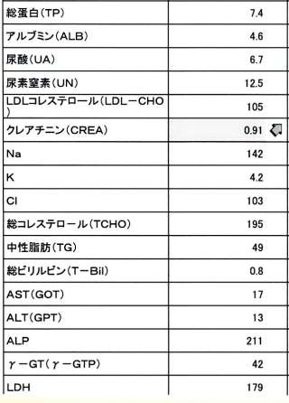 でたらめな習慣