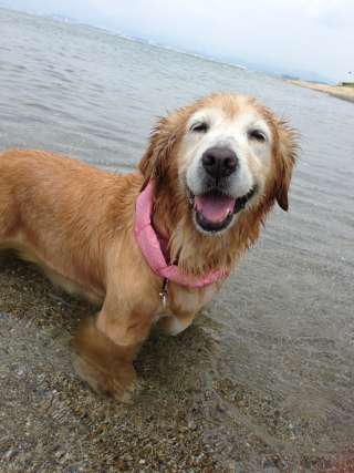 海水浴(≧▽≦)