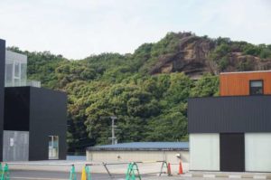 エバーグリーン