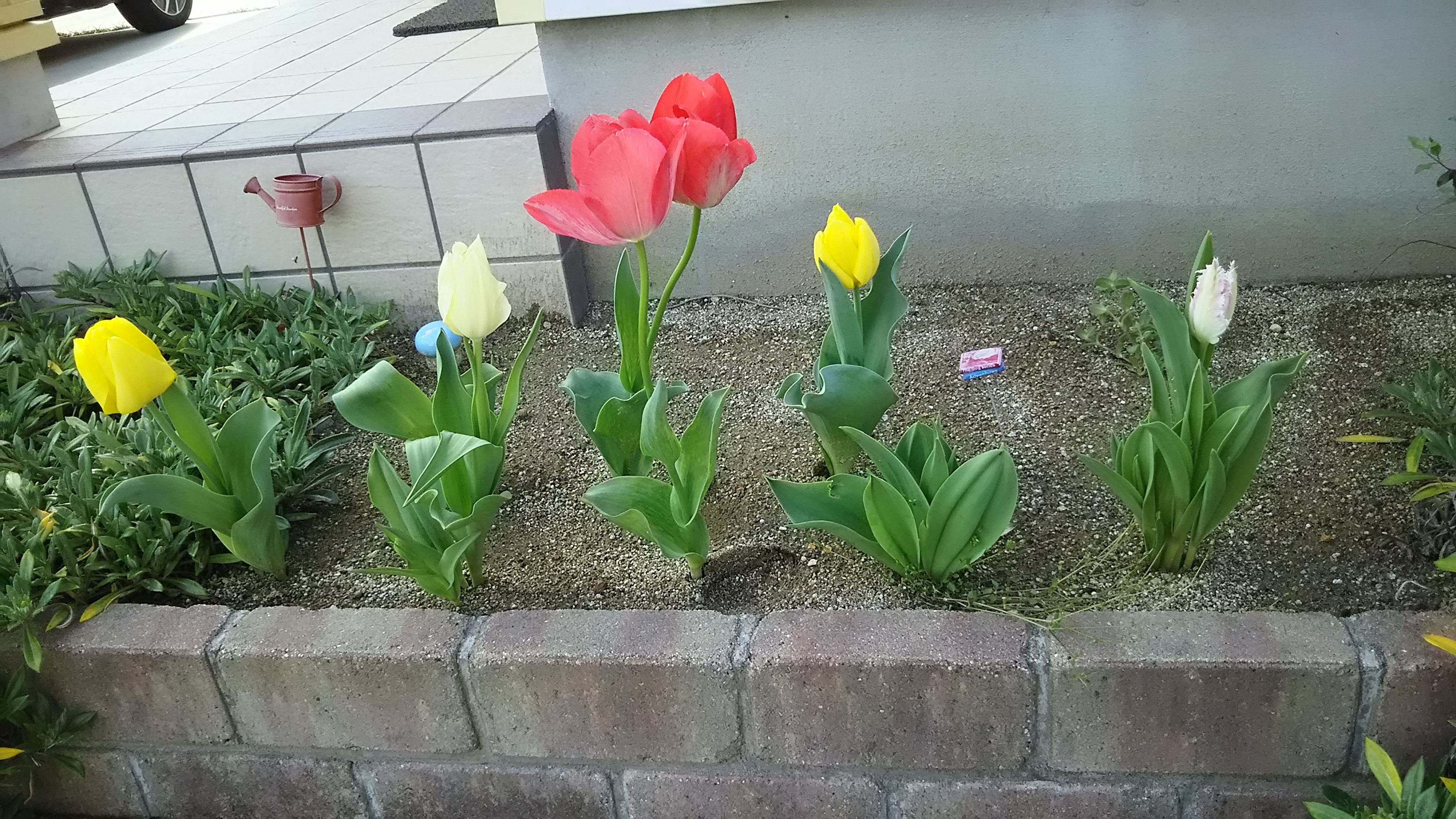 🌸祝🌷