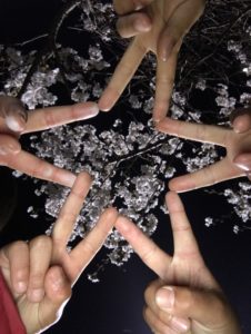 春の訪れ🌸💕
