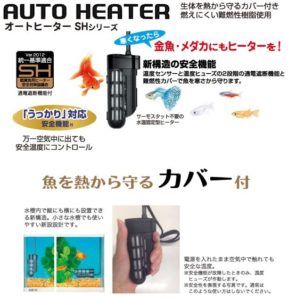 冬に備えて⭐