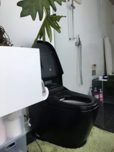 黒い便器