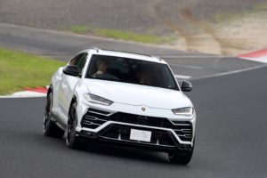 闘牛への道、その後