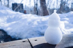 ２度目の☃️