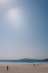 長嶋、医者やめるってよ！（中編）
