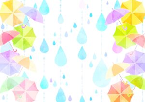 梅雨明け間近☔️