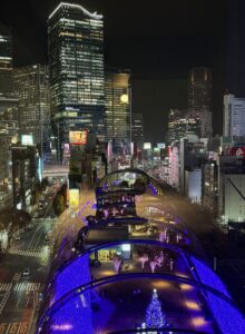 せわしかった２０２４年の秋から年末（後半戦）